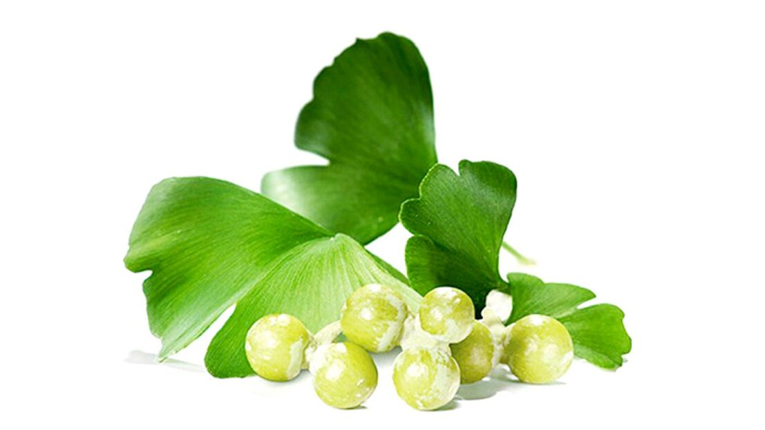 Ginkgo biloba in Osteflex